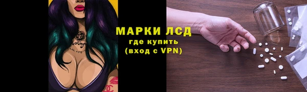 стаф Аркадак