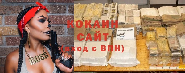 стаф Аркадак