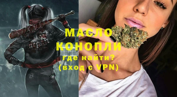 стаф Аркадак