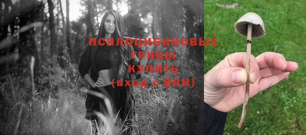 сатива Арсеньев