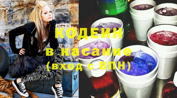 сатива Арсеньев