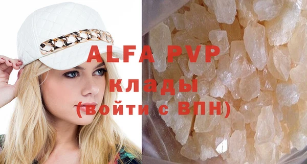 стаф Аркадак