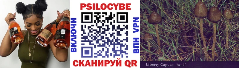 Псилоцибиновые грибы мухоморы  дарнет шоп  Урень 